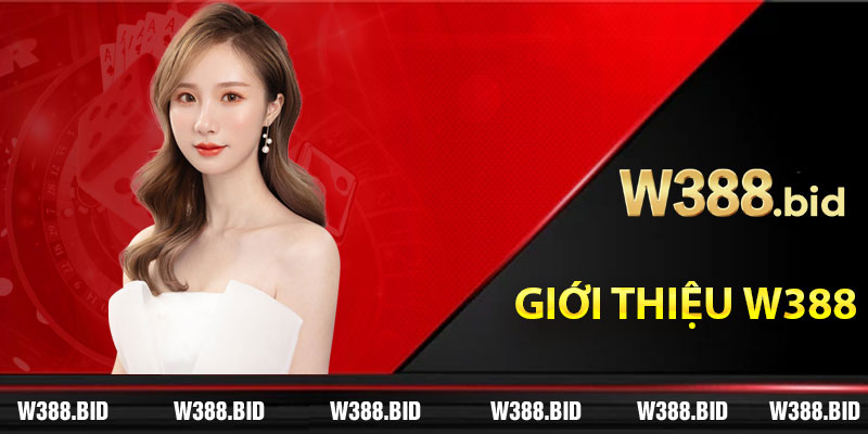 Giới thiệu W388